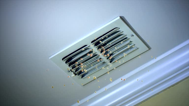 Best Air Vent Cleaning Services  in Marthasville, MO