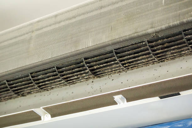 Best Air Vent Cleaning Services  in Marthasville, MO
